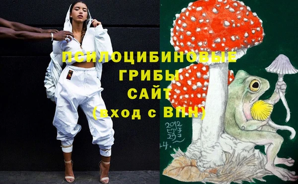 гидра Белокуриха