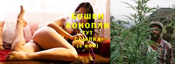гидра Белокуриха