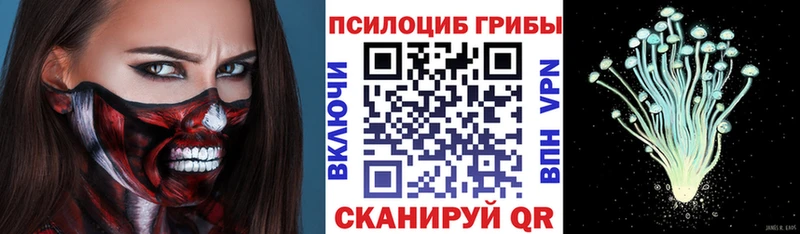 Купить закладки  Первомайск  Псилоцибиновые грибы MAGIC MUSHROOMS 