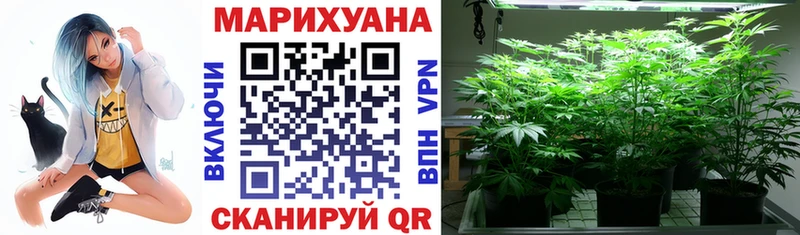 Купить где  Первомайск  Конопля планчик 